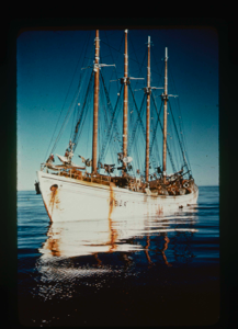 Image: Portuguese fishing boat (2 copies)