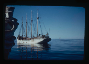 Image: The Bowdoin approaching fishing Portuguese halibut boat