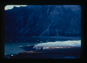 Image: Glacier (2 copies)