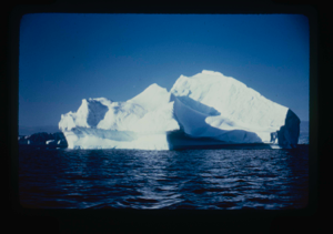 Image: Iceberg (2 copies)