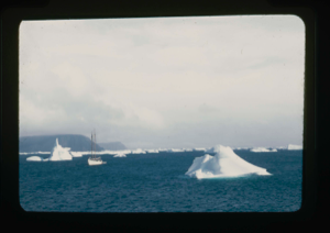 Image of The Bowdoin among small icebergs