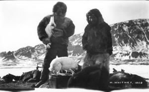 Image of [two men, one american and one inuit with two live hares]