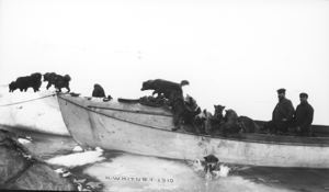 Image of [dogs on and around an open boat; two men]