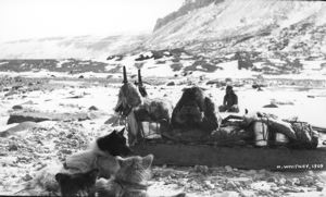 Image of [men and dogs at rest by sledge]