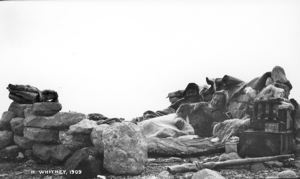 Image of Camp on the way to Humboldt Glacier; Mr. Whitney in the foreground 
