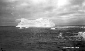 Image: [icebergs]