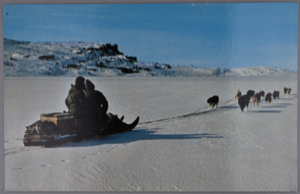 Image: Kommetik and Dogs approaching Tikkeratsuk, Moravian Missions, Labrador