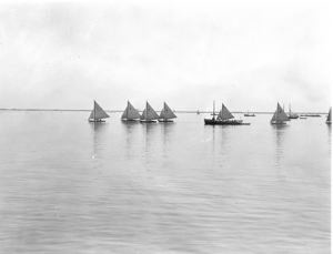 Image of Sailboat race