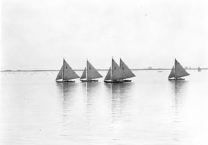 Image: Sailboat race