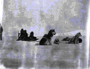 Image of Dogs in harness, at rest by sledge. Family on sledge