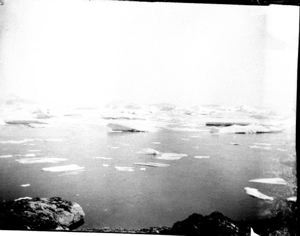 Image: Ice floes