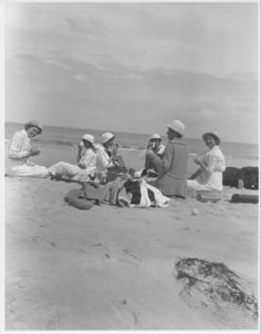 Image of 7 adults at a picnic at shore