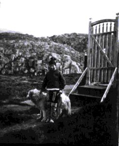 Image: Woman and dog by high gate