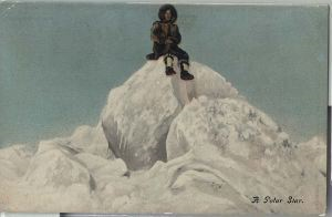 Image: Postcard: A Polar Star