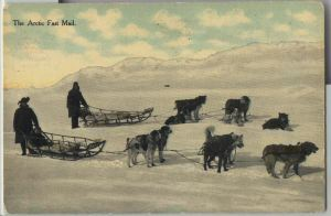 Image of The Arctic Fast Mail