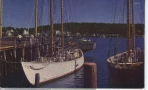 Image: The Bowdoin This ship has been used by Commander MacMillan on expedit