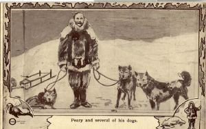 Image: Postcard: Commander Peary and dogs