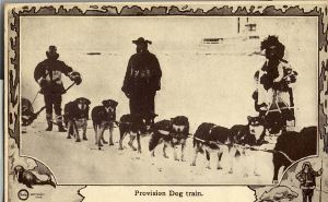 Image: Postcard: provision dog train