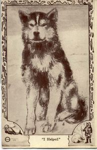 Image: Postcard: dog, 