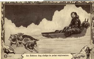 Image: Postcard: Dog sledge in Polar exploration
