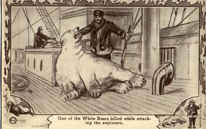 Image of Postcard: Bear killed while attacking explorers