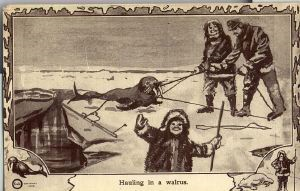 Image: Postcard: Hauling in a Walrus