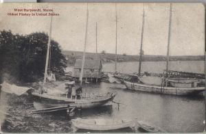 Image: Postcard: West Harpswell, Maine Oldest Pinkey in United States