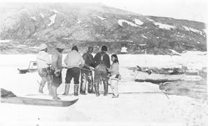 Image of Crew and Inuit hauling in a walrus