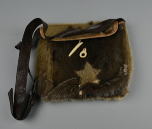 Image of sealskin purse with brown plastic strap