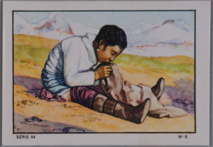 Image of Card, sealskin preparation: French expedition to Greenland  1934-1935
