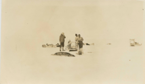 Image of Hunting party with seal