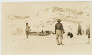 Image of Dogs, sledge and men by the Bowdoin