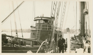 Image of Large boat along side Bowdoin. MacMillan in background