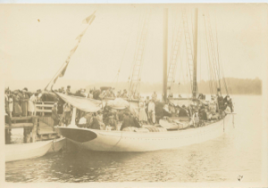 Image: The Bowdoin met by a crowd on return from Baffin Land