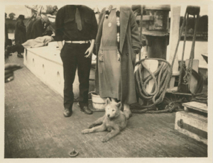 Image: Couple and dog on deck. Other guests at rear