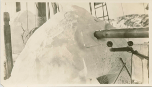 Image of Igloo-covered hatch, - detail