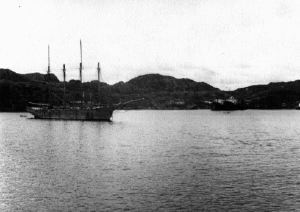 Image of Sardine (herring) factory ships