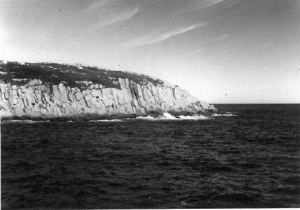 Image: Coastal cliffs