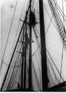 Image of Rigging of the KERR