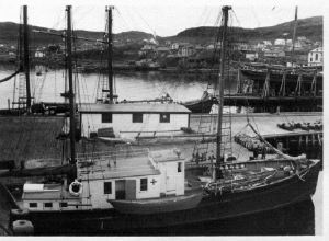 Image: Schooners at dock