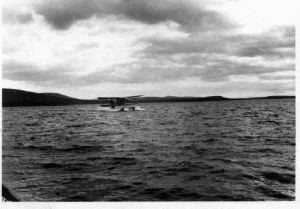 Image of Amphibious plane landing
