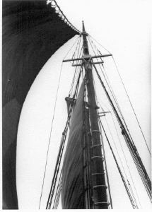 Image of Sails and rigging