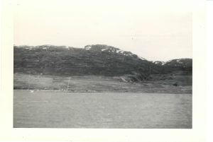 Image: Terrain at shoreline