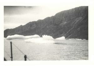 Image of Small icebergs from ship - same image as AM2002.5.205