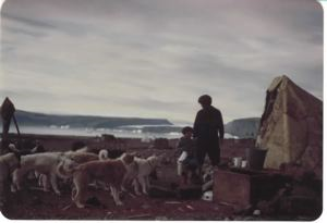 Image of Feeding dogs (?). Boy and man by tupik