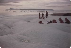 Image of Team at rest near shore