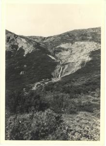 Image of Waterfall and vegetation at mountain base