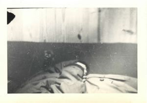 Image of Cheek sitting on shoulder of sleeping man