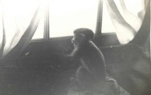 Image: Cheek looking out a window (dupe .331)