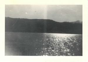 Image of Sunlight on water
